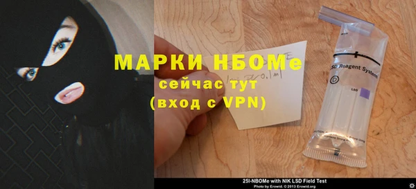 хмурый Абаза