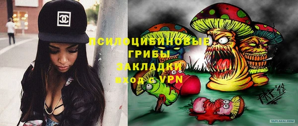 хмурый Абаза