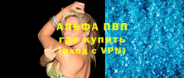 хмурый Абаза