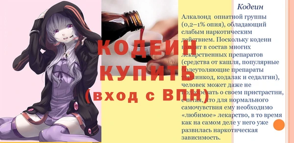 хмурый Абаза