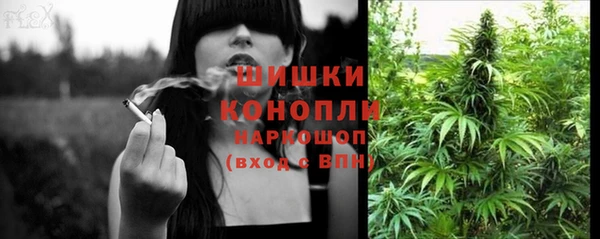 Альфа ПВП Аша